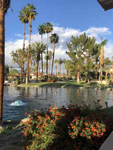 Gated community in  Rancho Mirage