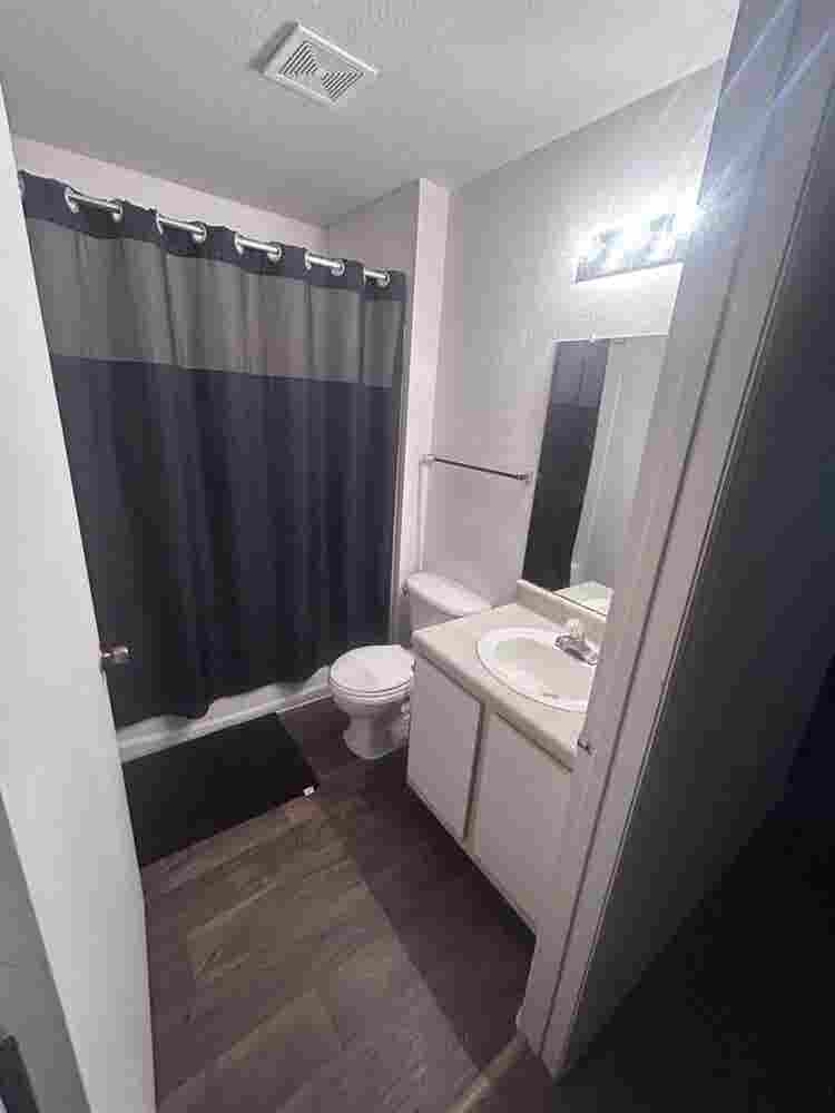 Looking for roommate