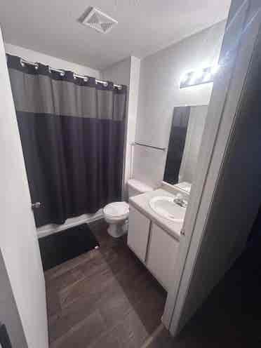 Looking for roommate