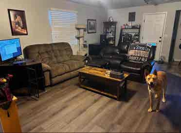Two room options available