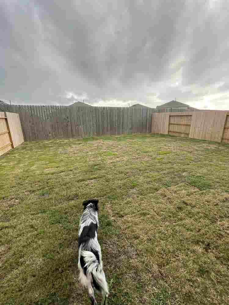 Furnished house in katy