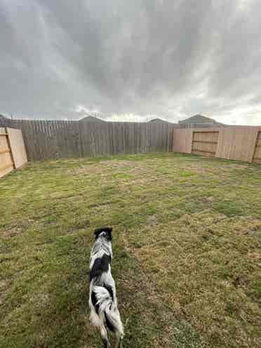 Furnished house in katy