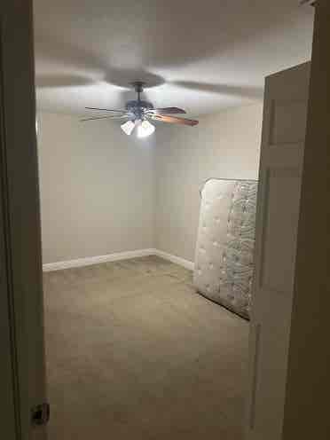 Room in San Carlos park