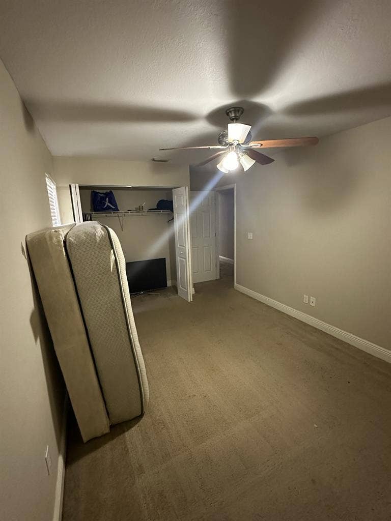 Room in San Carlos park