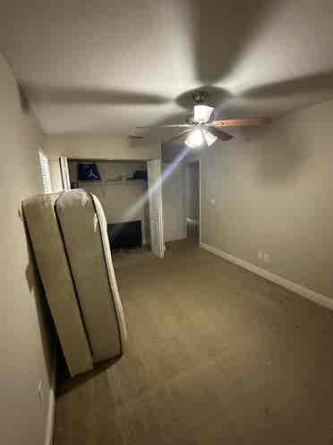 Room in San Carlos park