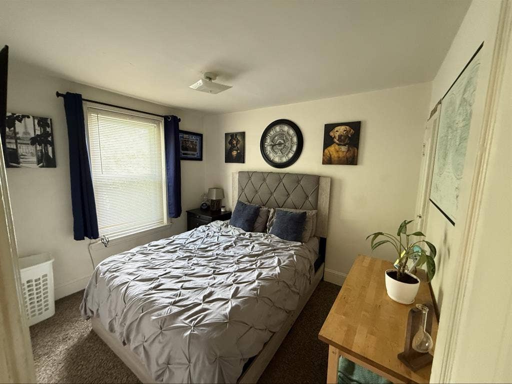 Manayunk Roommate Needed