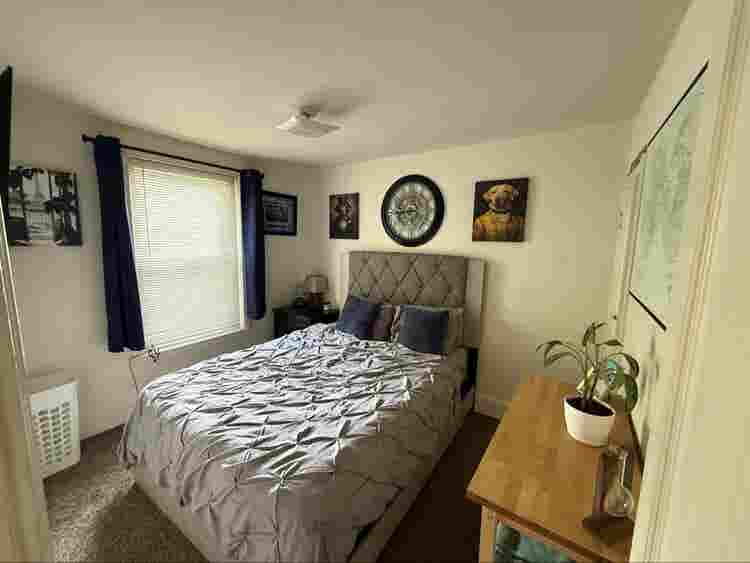 Manayunk Roommate Needed