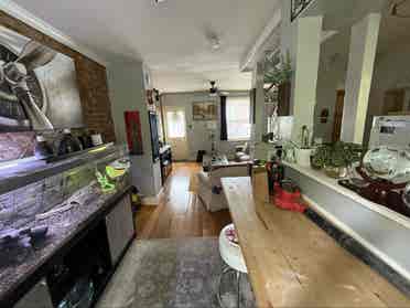 Manayunk Roommate Needed