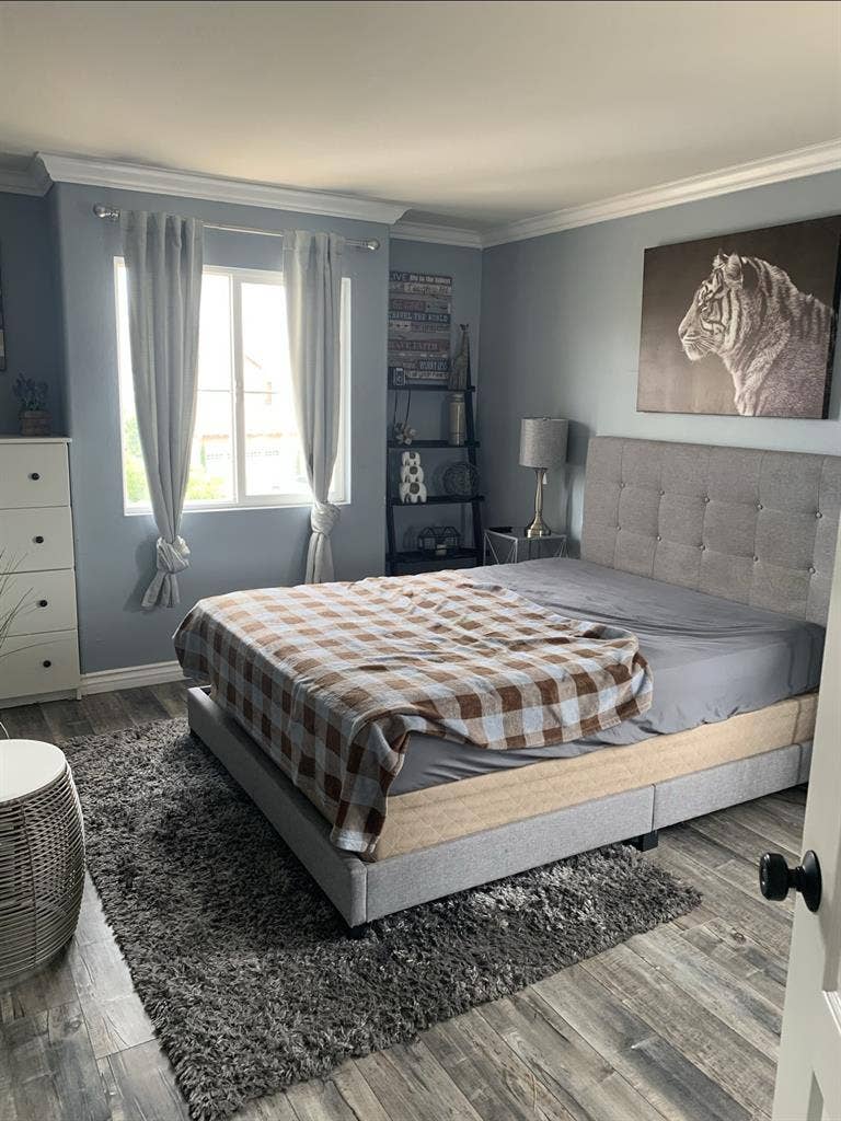 Room For Rent