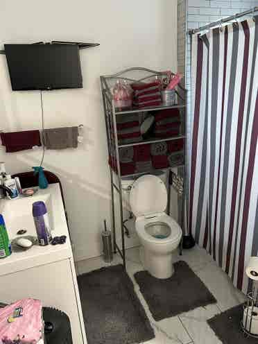 Looking for a roommate