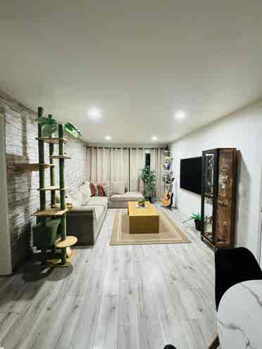 room for rent