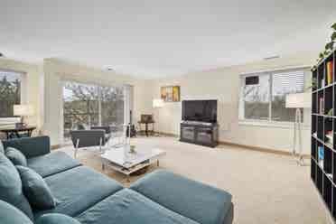 Roommate Needed