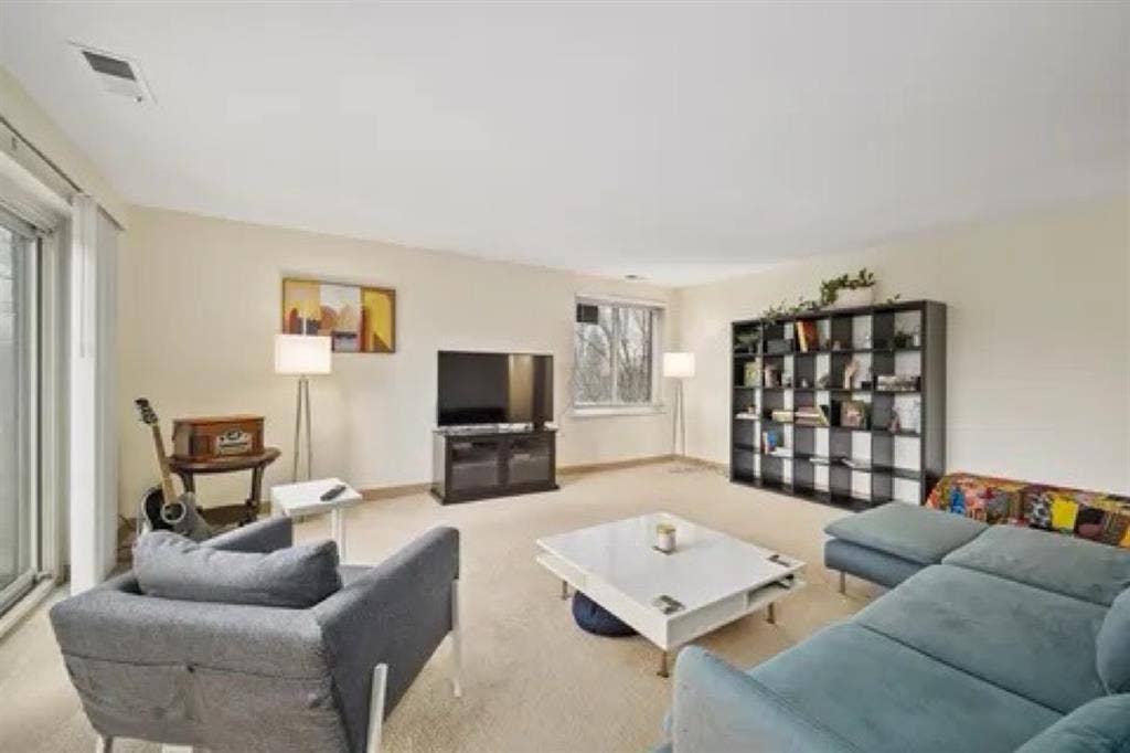 Roommate Needed