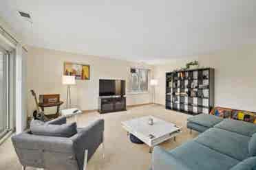 Roommate Needed