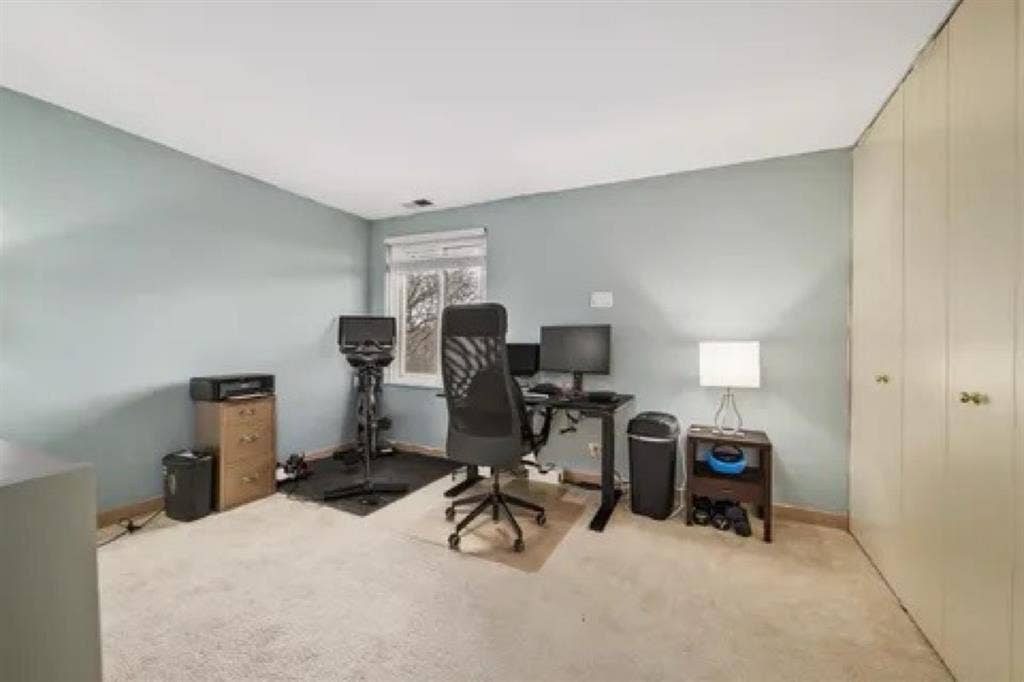 Roommate Needed