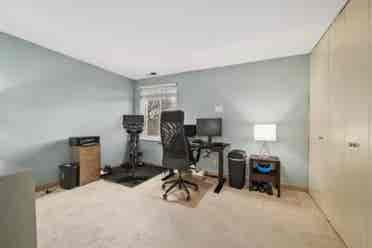 Roommate Needed