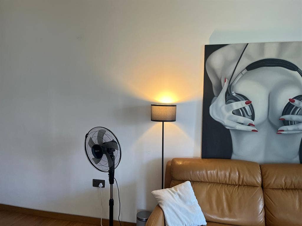 Stunning Room for Rent – Panoramic