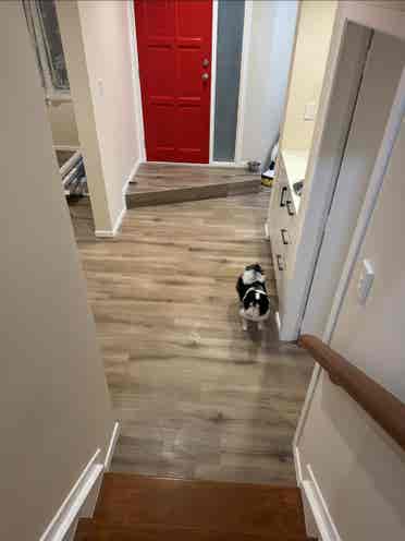 Flatmates wanted