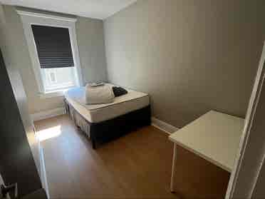 Looking for a  Toronto