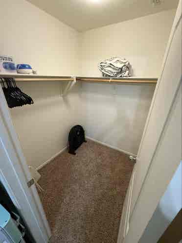 1 room ,shared bathroom San tan loc