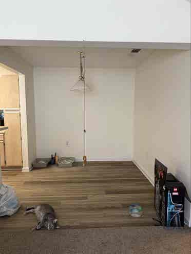 Move In ready!