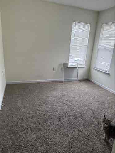 Move In ready!