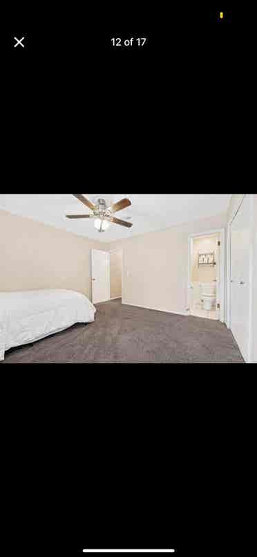 Room for rent