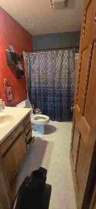 Need roomates or I lose my house