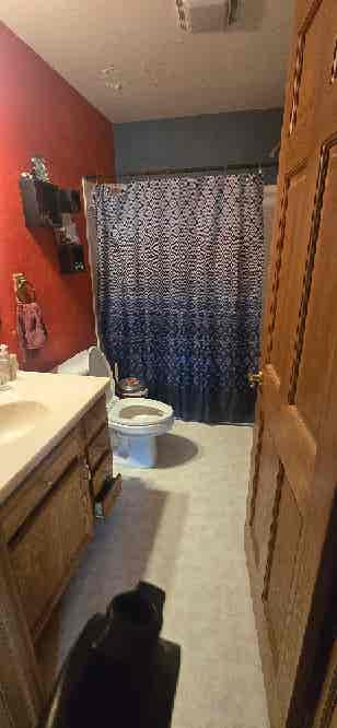 Need roomates or I lose my house