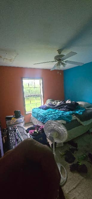 Need roomates or I lose my house