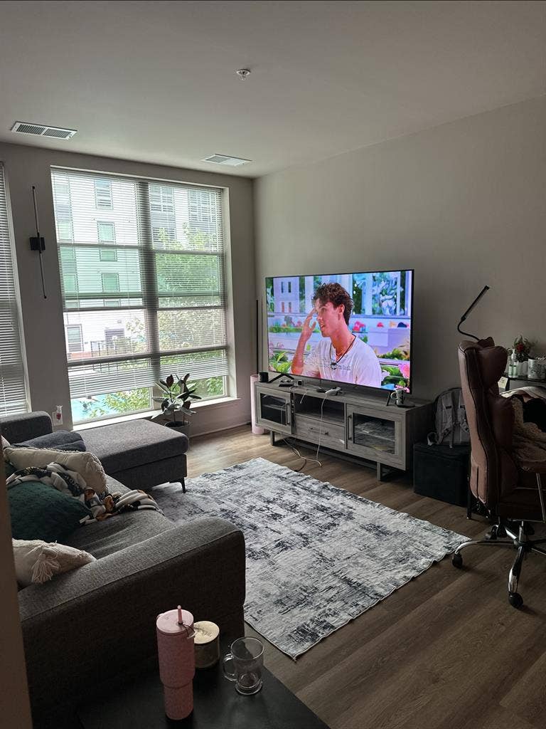 Luxury Apt, College Park Metro