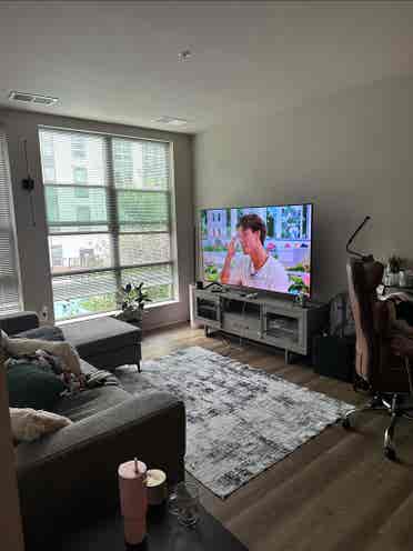 Luxury Apt, College Park Metro