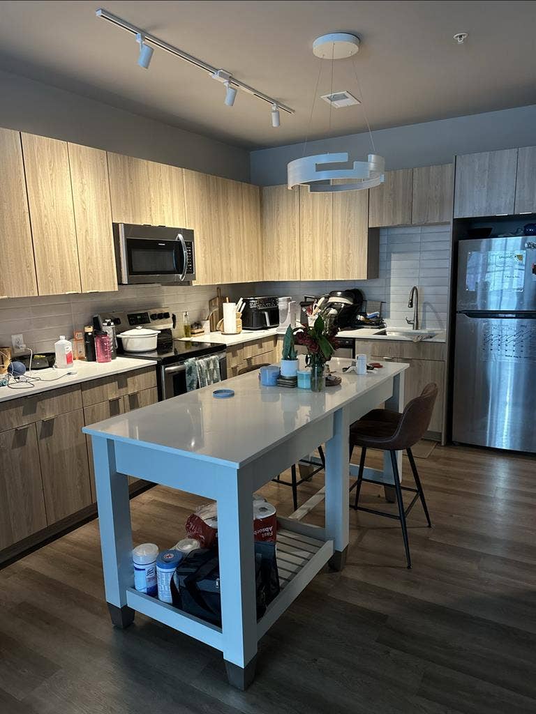 Luxury Apt, College Park Metro
