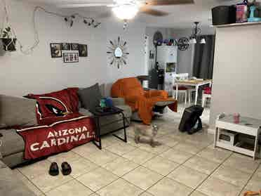 New Listing
