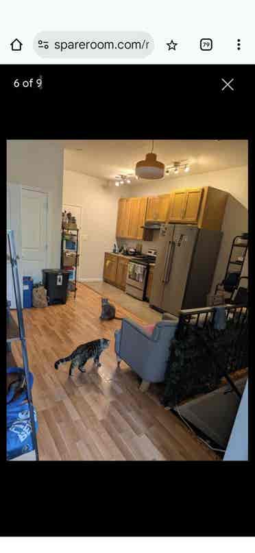 Huge Room in Bushwick, Private RR