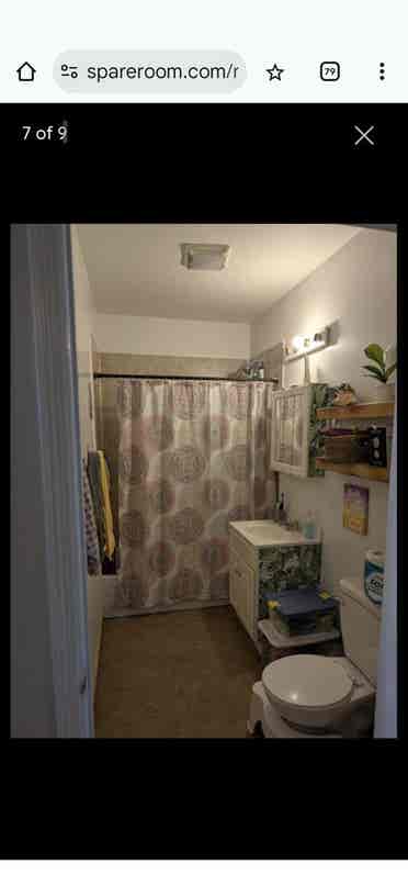 Huge Room in Bushwick, Private RR