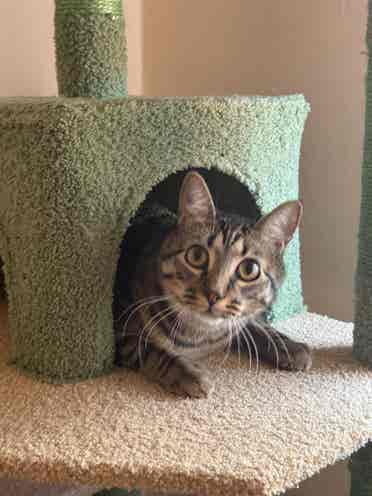 Sublease Available