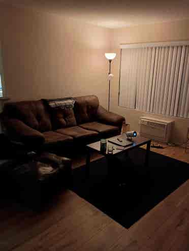 relaxed apartment Westwood
