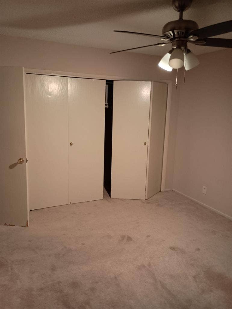 relaxed apartment Westwood