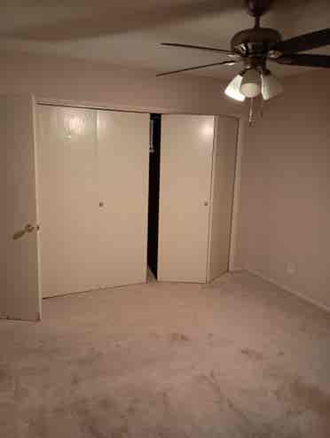 relaxed apartment Westwood