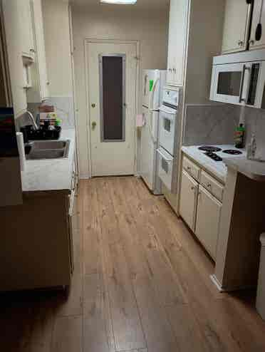 relaxed apartment Westwood