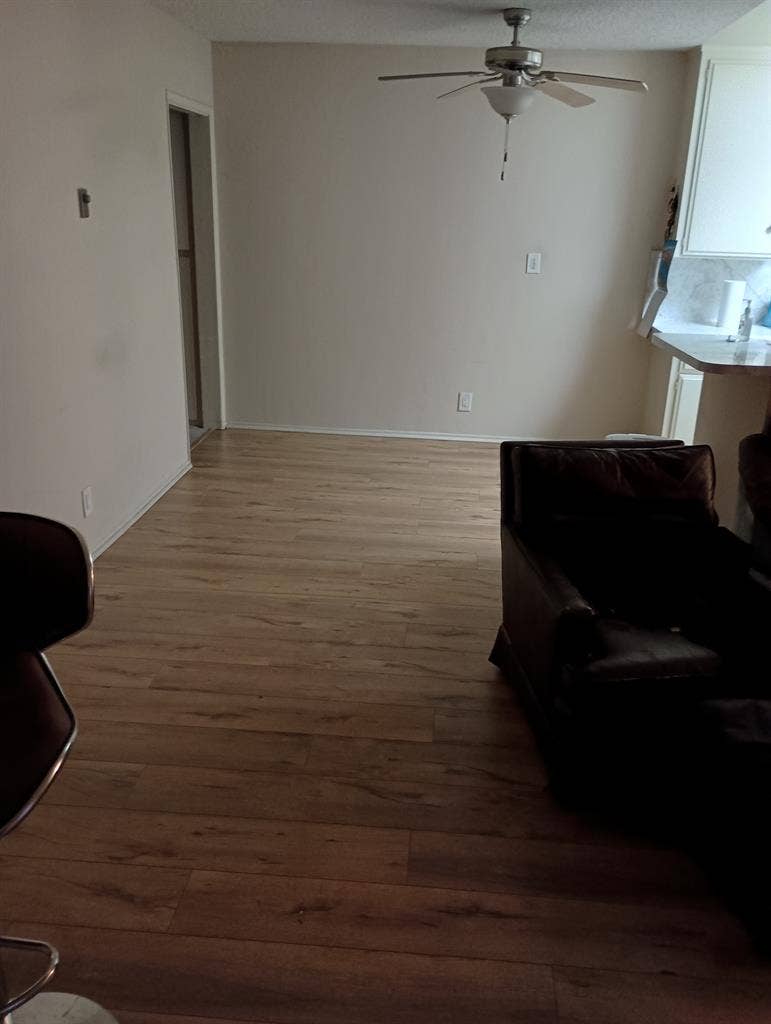 relaxed apartment Westwood