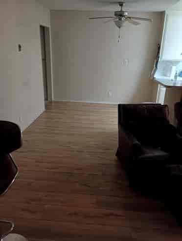 relaxed apartment Westwood