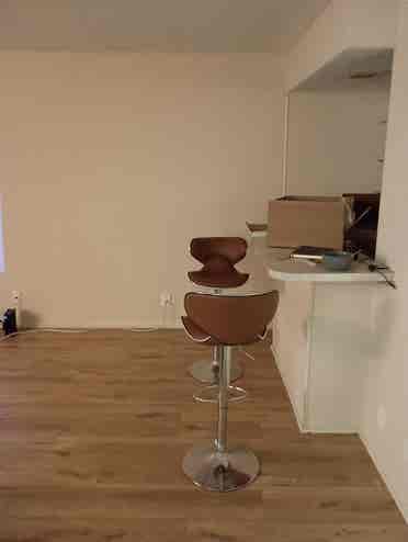 relaxed apartment Westwood