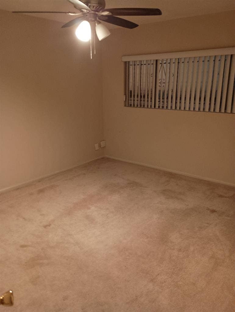 relaxed apartment Westwood