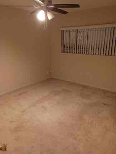 relaxed apartment Westwood