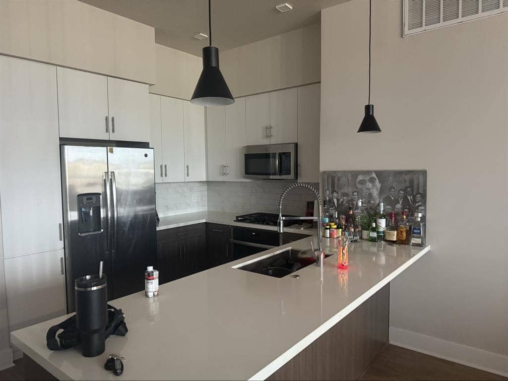 beautiful apartment to share