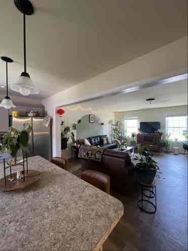 Roommate wanted!