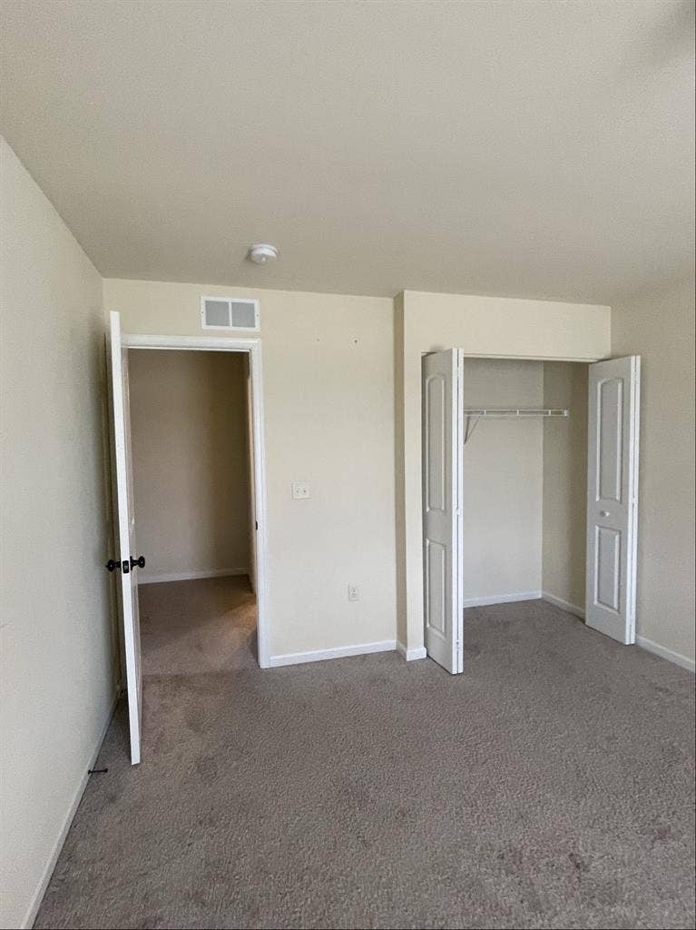 Roommate wanted!