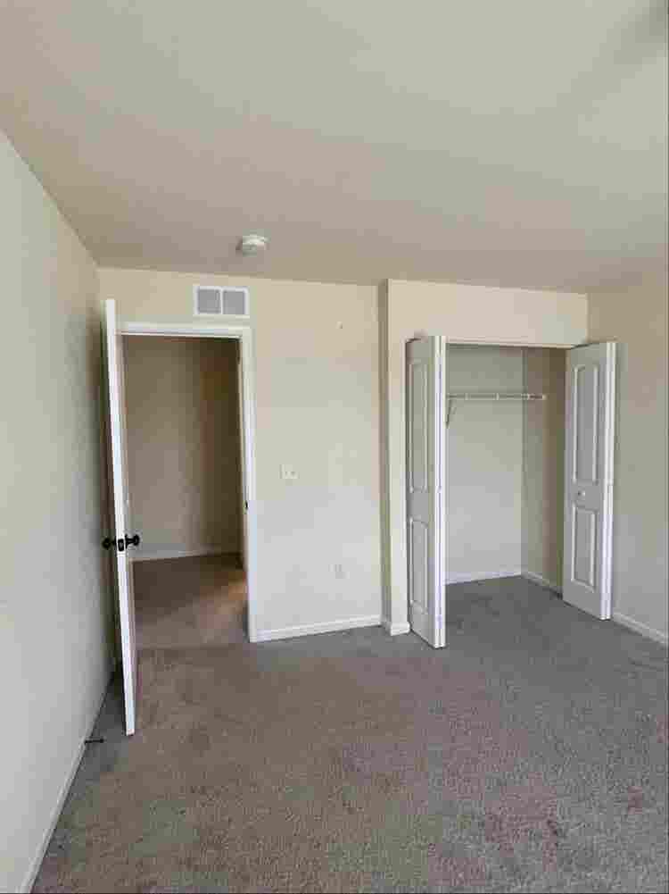 Roommate wanted!